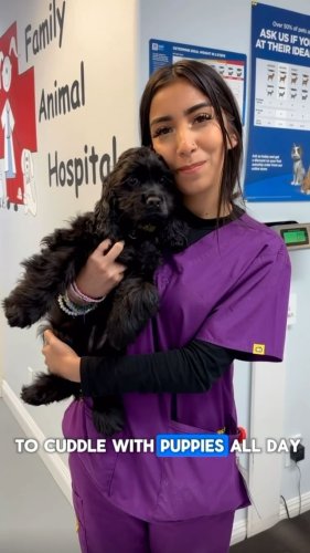 Video post from familyanimalhospitalcm.