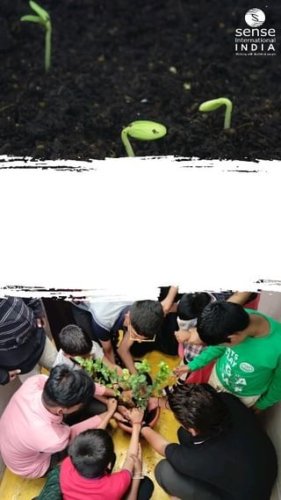 Video post from sense.india.