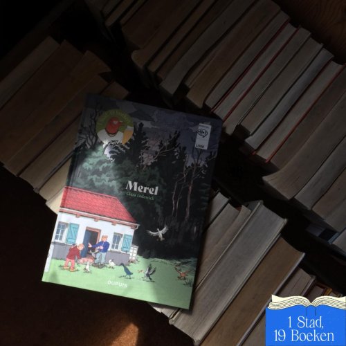 Photo post from bibliotheeksintgillis.