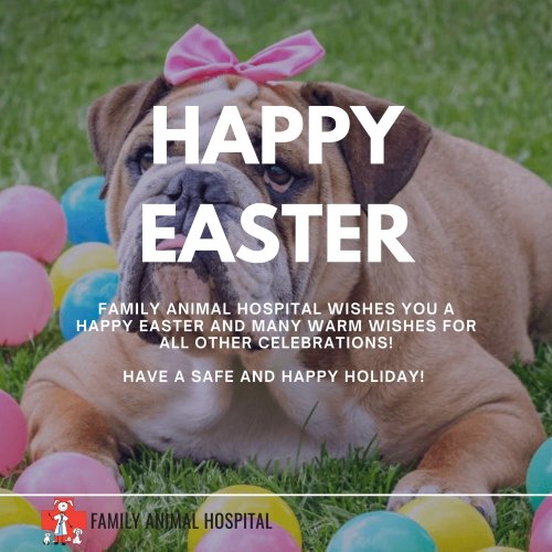 Photo post from familyanimalhospitalcm.