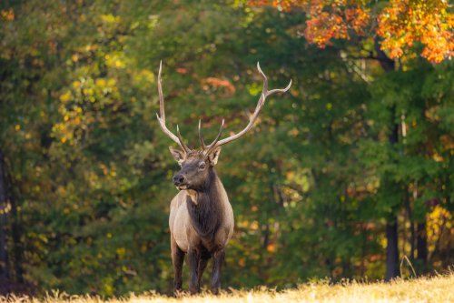 Photo post from theheartofnc.