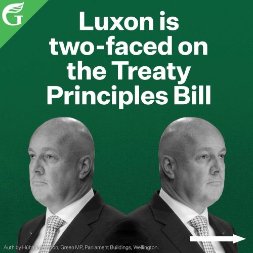 Carousel post from nzgreenparty.