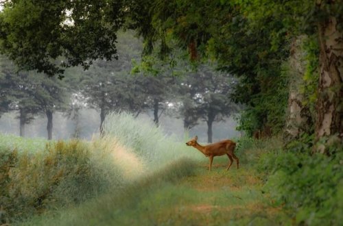 Photo post from visitoirschot.