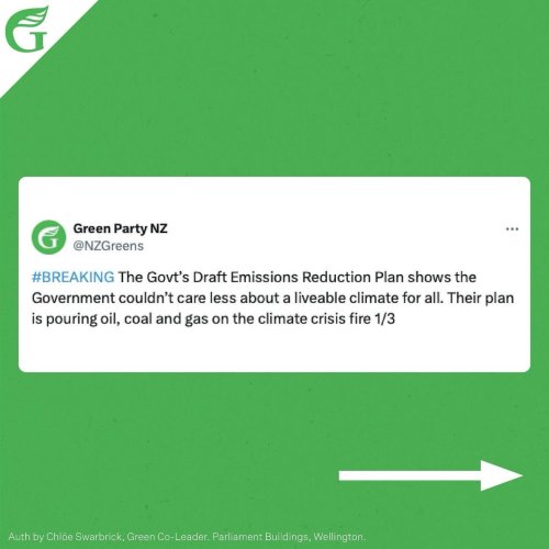 Carousel post from nzgreenparty.