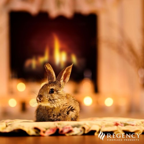 Photo post from regencyfire.