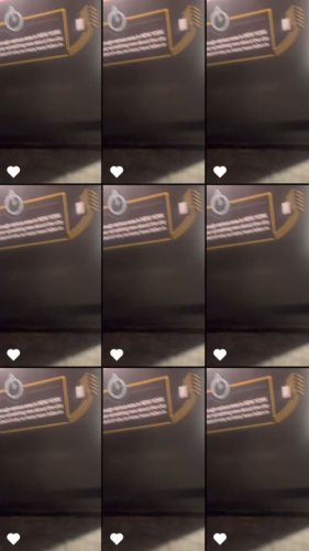 Video post from stephonabutterflies.