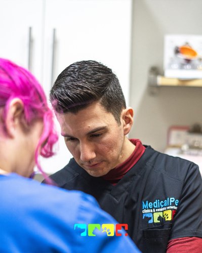 Photo post from medicalpettj.