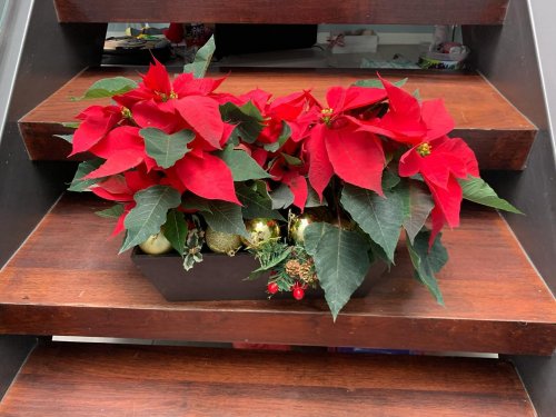 Carousel post from la_gifteria.