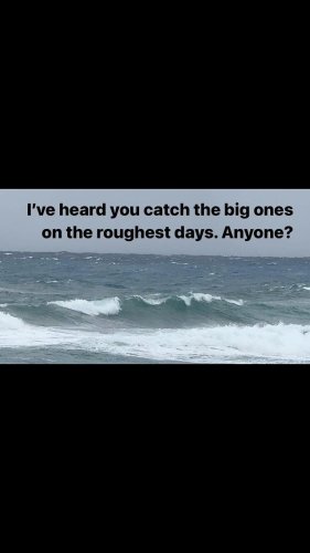 Video post from ejs_fishing_charters.