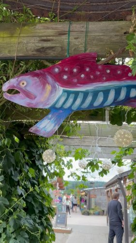 Video post from finnriver.