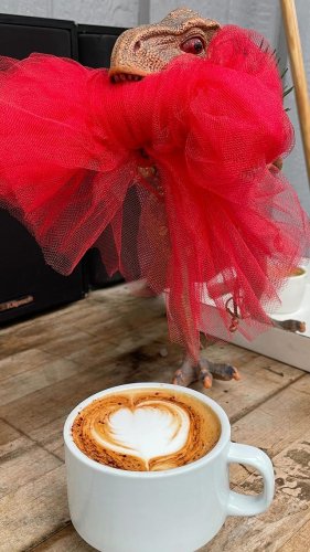 Video post from equianocoffee.