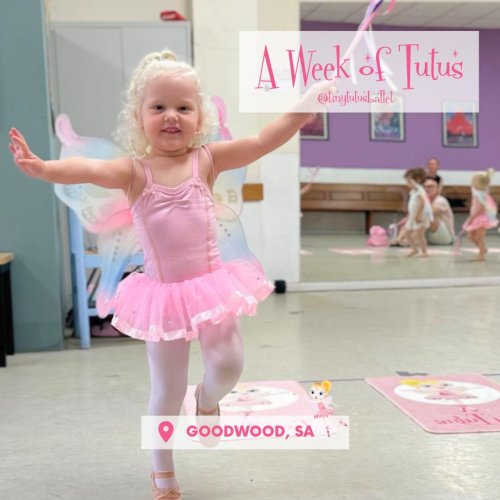 Carousel post from tinytutusballet.