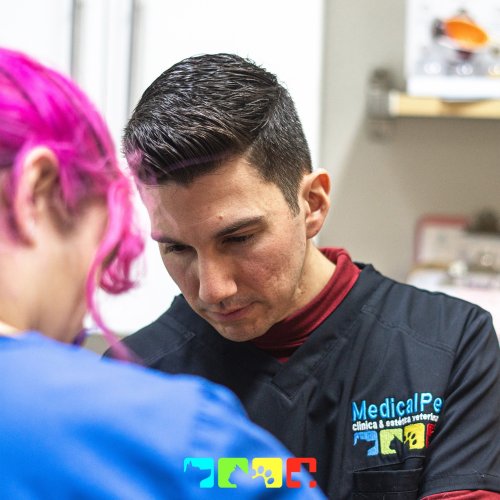 Carousel post from medicalpettj.