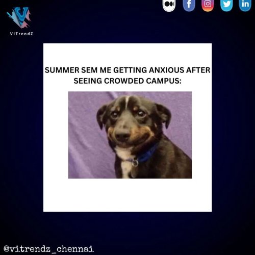 Photo post from vitrendz_chennai.