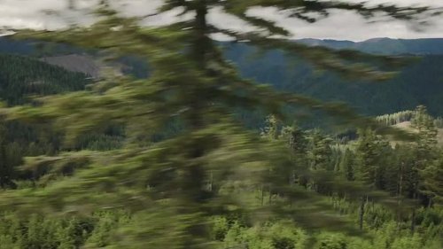 Video post from bertsmegamall.