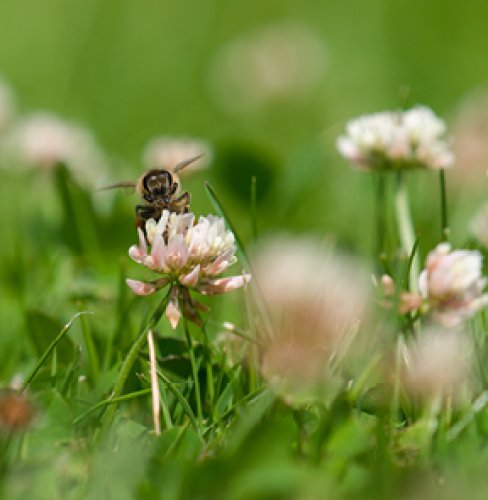 Photo post from comvita_au.