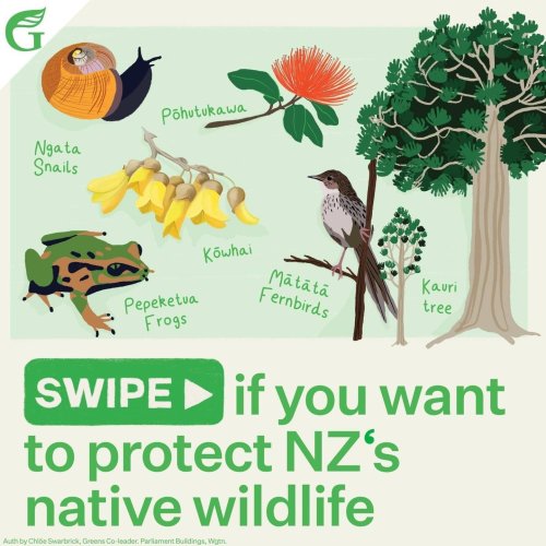 Carousel post from nzgreenparty.