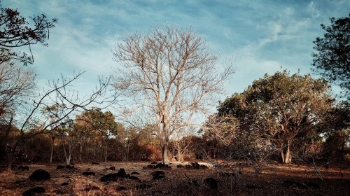 Carousel post from jakbobby.