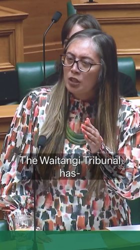 Video post from nzgreenparty.