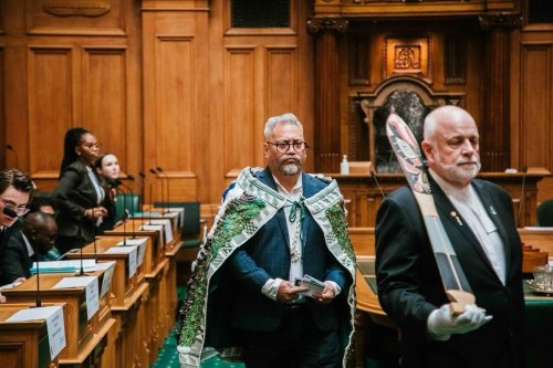 Carousel post from nzgreenparty.