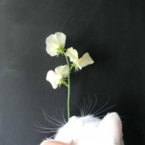 Carousel post from finnriver.