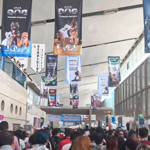 Carousel post from medicalpettj.