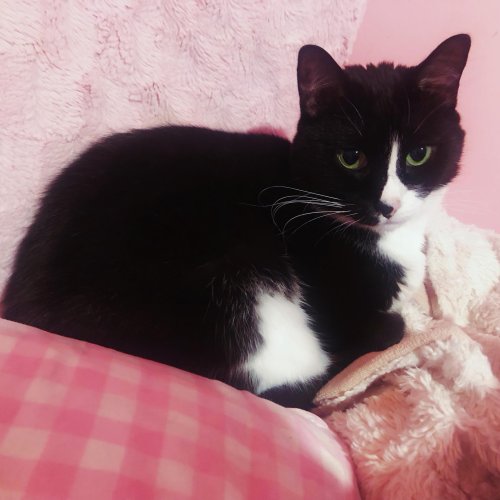 Photo post from margaritabloom.