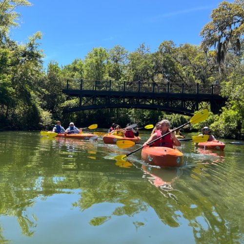 Photo post from uscbeaufort.