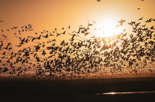 Photo post from northernskiesoutfitters.