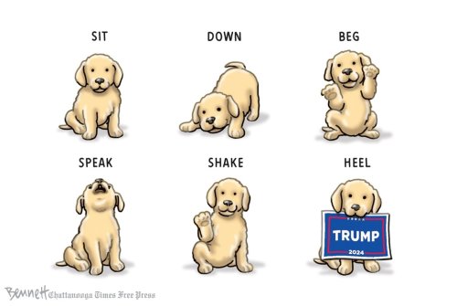 Photo post from @BennettCartoons.