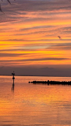 Video post from i.am.thealignedsoul.