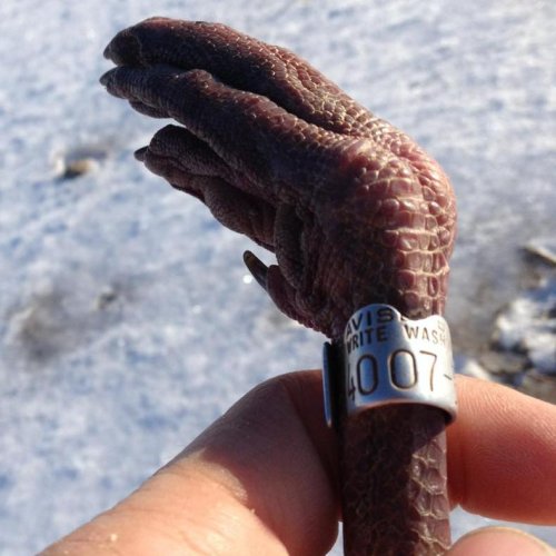 Carousel post from northernskiesoutfitters.