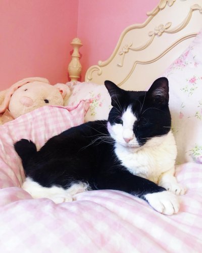 Carousel post from margaritabloom.