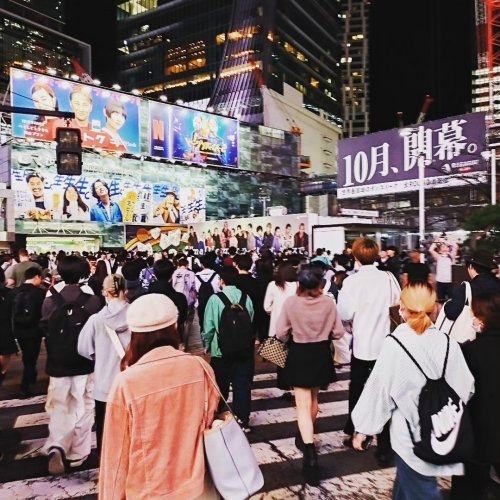 Photo post from ne_shibuya.