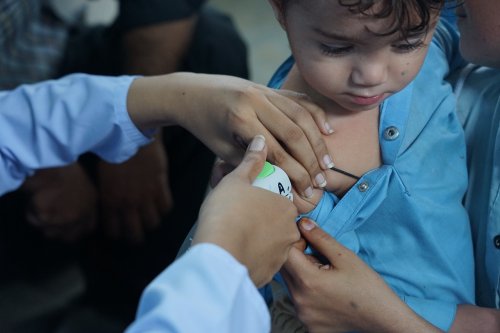 Photo post from pakfightspolio.