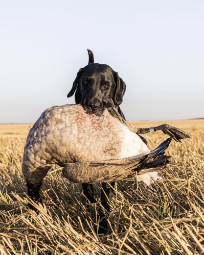 Photo post from northernskiesoutfitters.