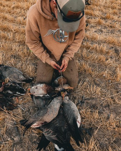 Photo post from northernskiesoutfitters.