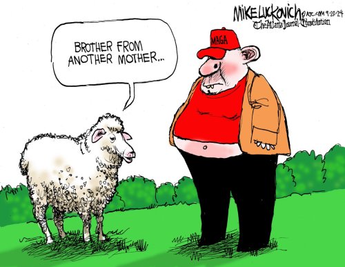 Photo post from @mluckovichajc.