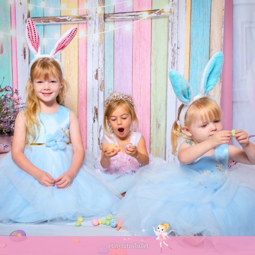 Photo post from tinytutusballet.