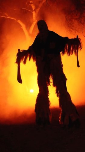 Video post from visittucson.