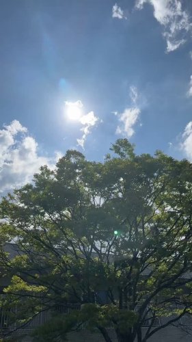 Video post from @dermed_jp.