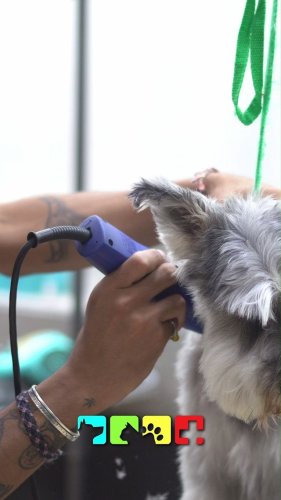 Video post from medicalpettj.