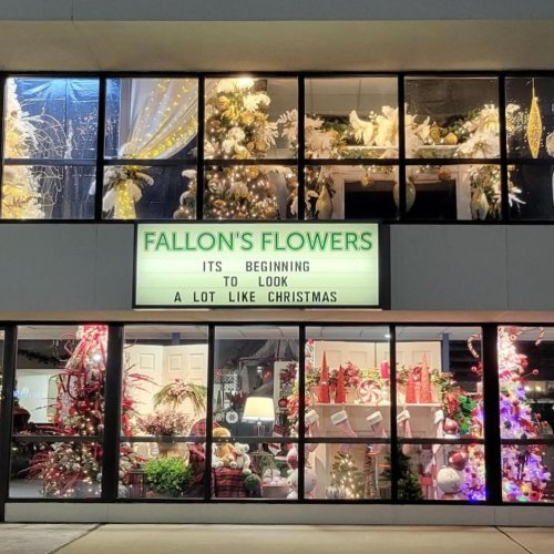 Market / Wholesale Baby's Breath in Raleigh NC - Fallon's Flowers