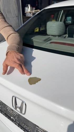 Video post from ustaminionarim.