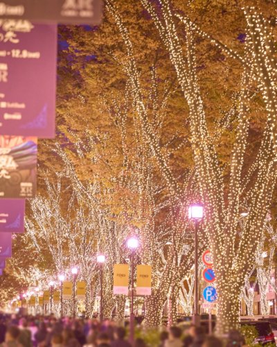 Carousel post from city_shibuya_official.
