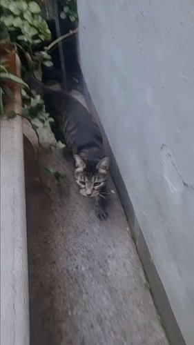 Video post from ira.martelo.