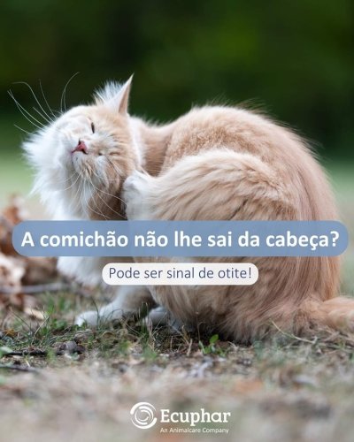 Photo post from clinica_veterinaria_dourosul.