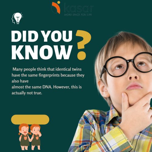 Photo post from kasarstays.