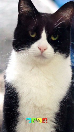 Video post from medicalpettj.