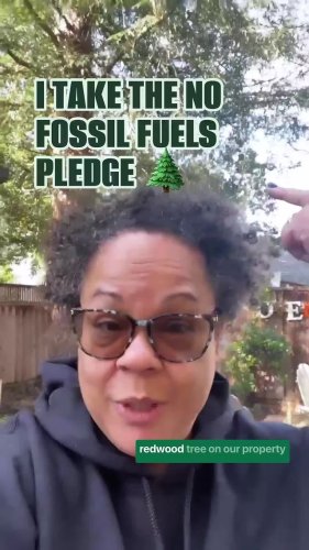 Video post from jlythcotthaims.